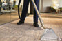 Why Your Office Needs Professional Commercial Carpet Cleaning Services
