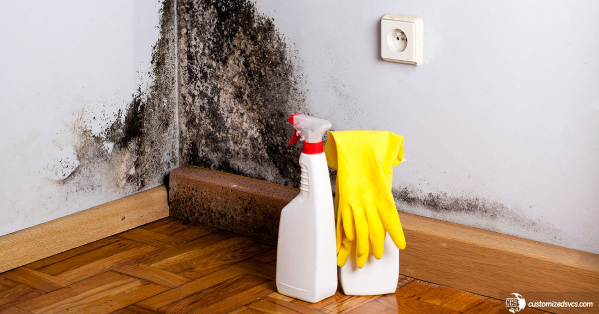 Mold vs. Mildew Differences