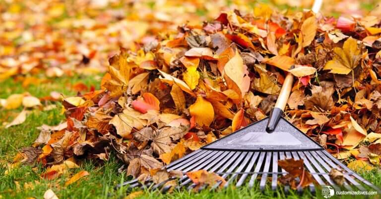 Why Have Your Business Commercially Cleaned This Fall CCS