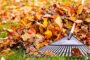 Why Have Your Business Commercially Cleaned This Fall?