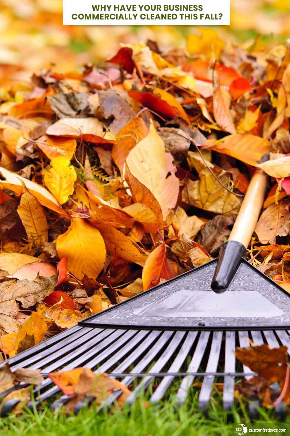 Why Have Your Business Commercially Cleaned This Fall?