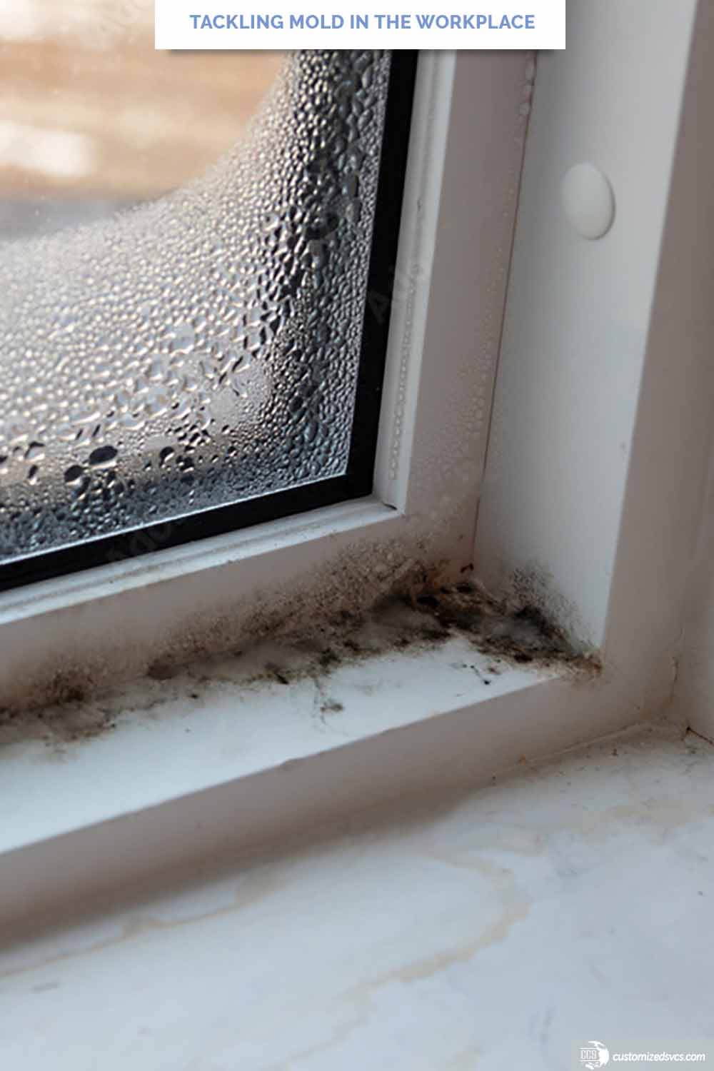 Tackling Mold In The Workplace