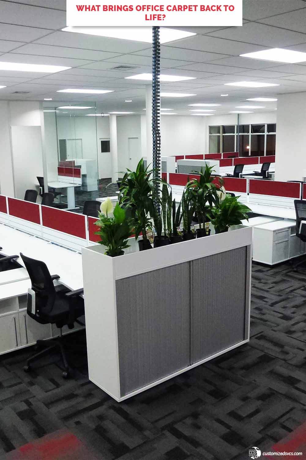 What Brings Office Carpet Back To Life?