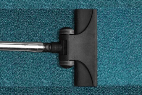 How to Choose the Right Carpet Cleaning Services for Your Office