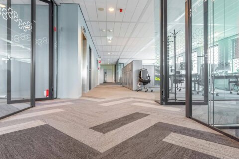 How Often Should You Professionally Clean Your Office Carpets?